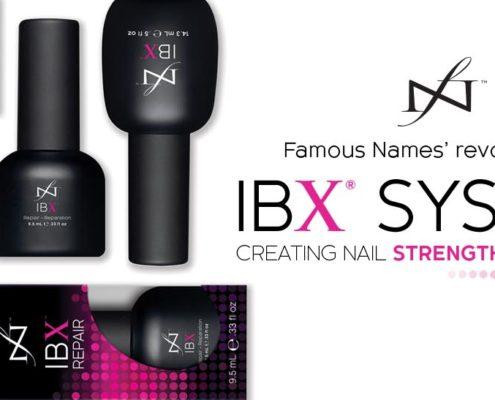 IBX System